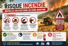 risue incendie
