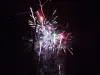 feu d'artifice 2026