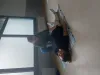 formation gestes qui sauvent