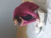 formation gestes qui sauvent